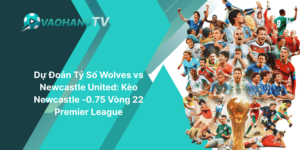 Dự Đoán Tỷ Số Wolves vs Newcastle United - Kèo Newcastle -0.75 Vòng 22 Premier League